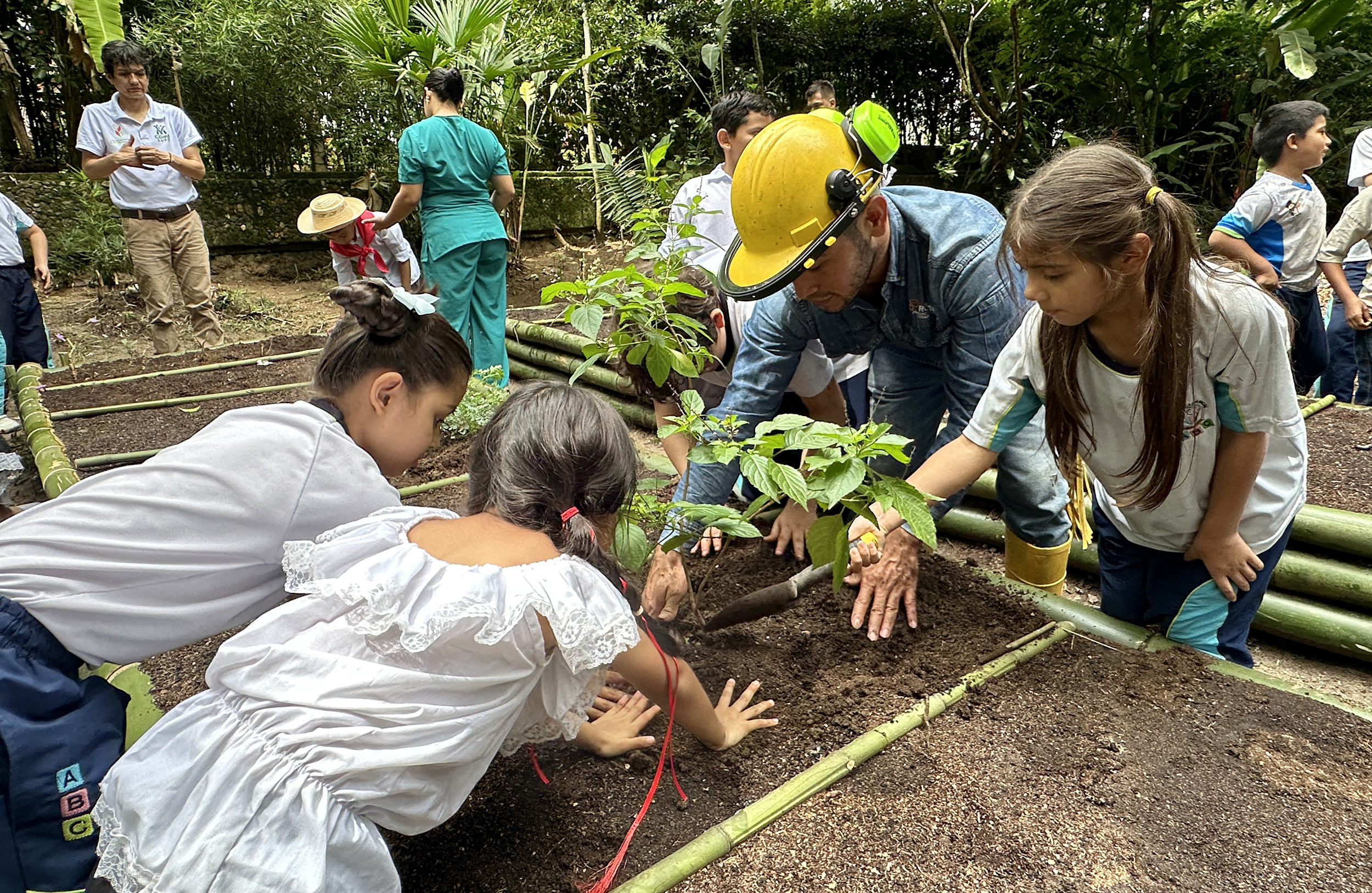 De las aulas a la tierra: estudiantes de ABC le apuestan a la sostenibilidad con huerta orgánica